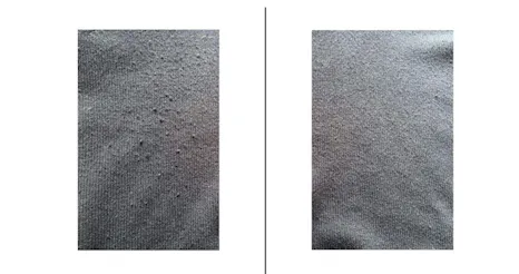 Steamery Fabric Shaver før og etter