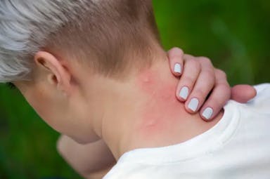 Les testen vår om: Myggjager Myggjager Best i test