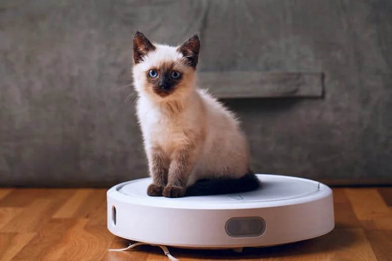 beste robotstøvsuger,robotstøvsuger hundehår,