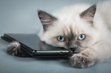 Les testen vår om: Smarttelefon Smarttelefon Best i test